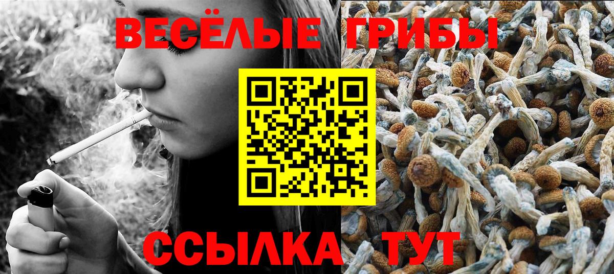 Псилоцибиновые грибы MAGIC MUSHROOMS  Галлюциногенные грибы Magic Shrooms  Вход с VPN  Белгород 
